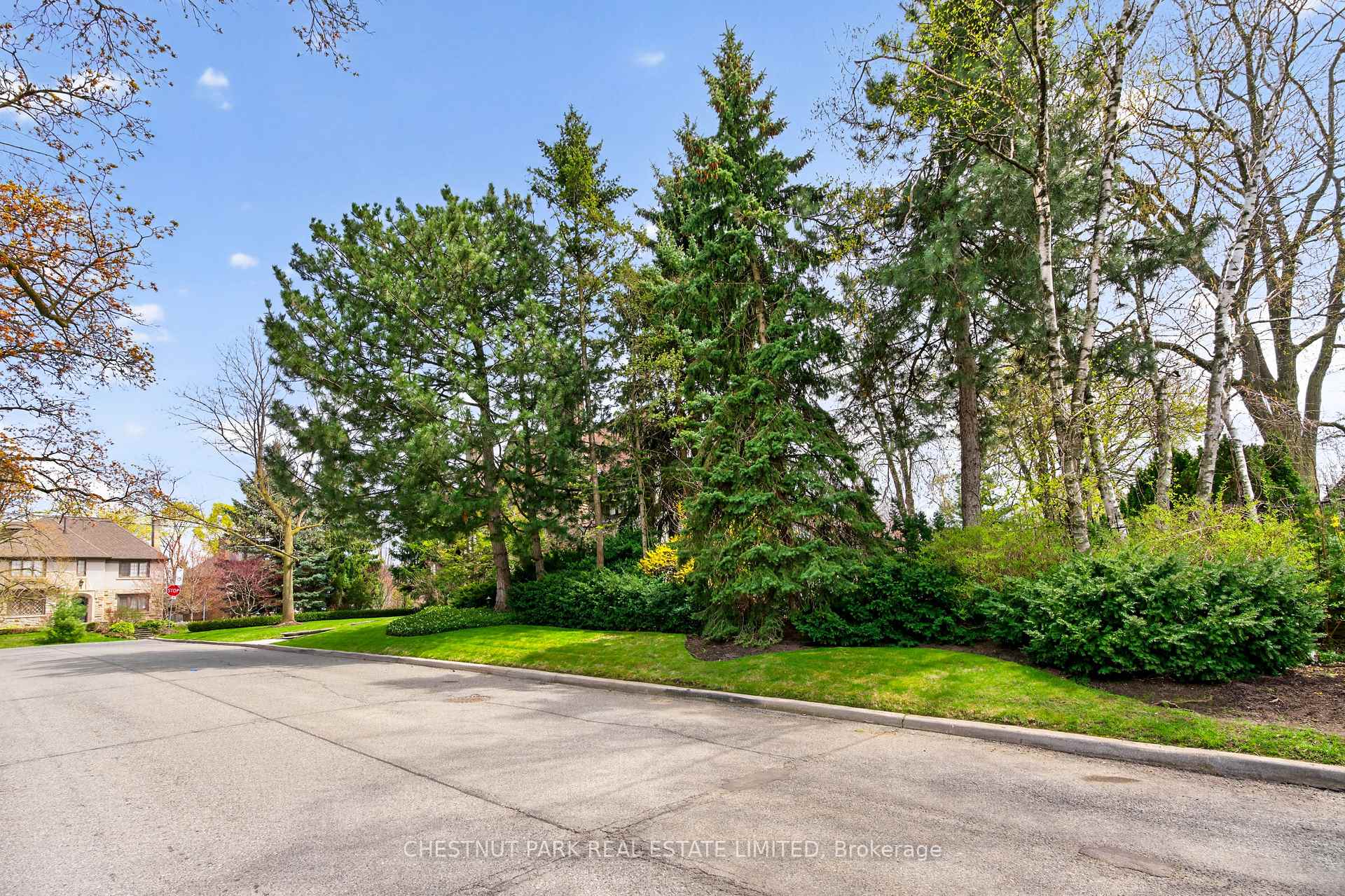 Property photo 41