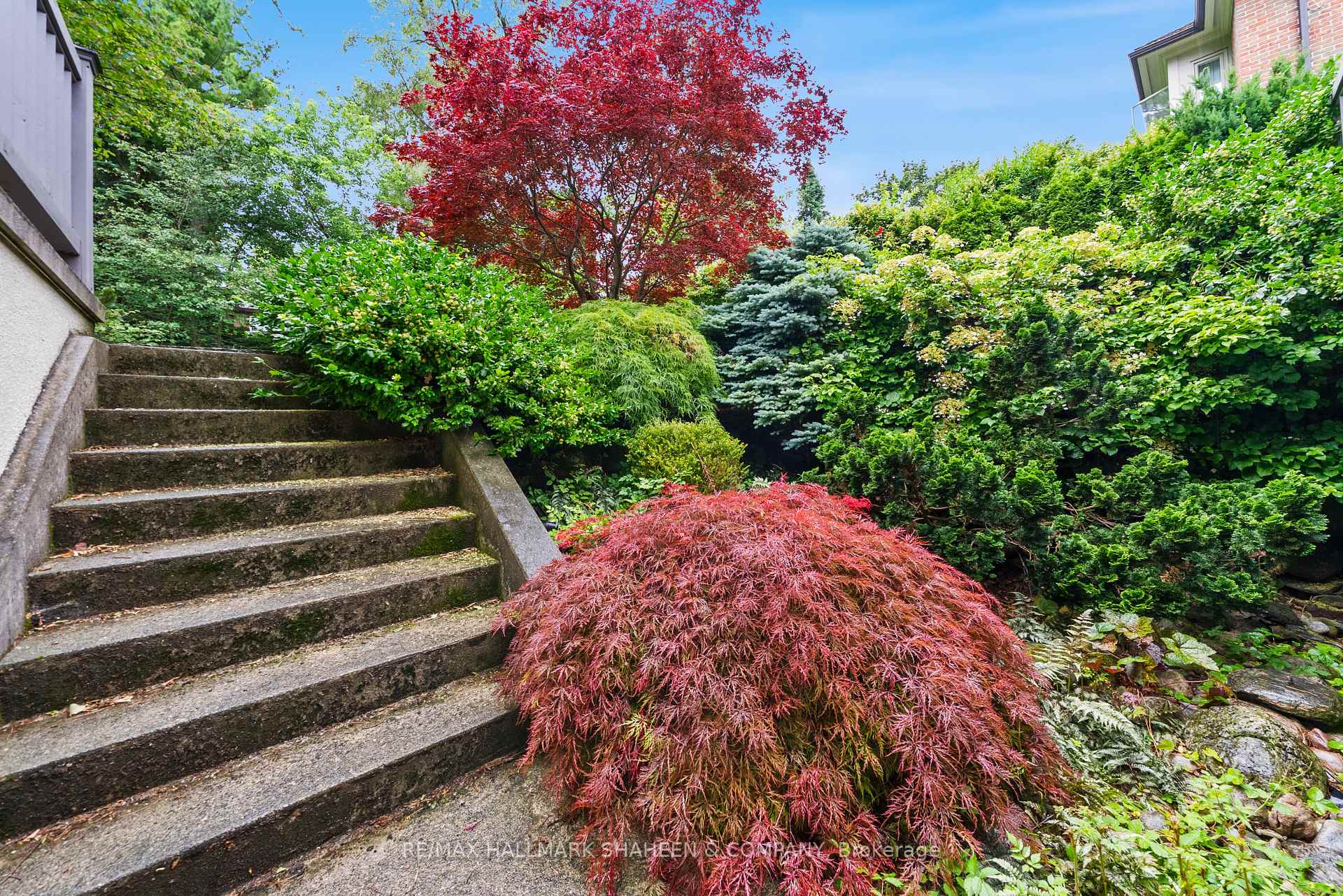 Property photo 41