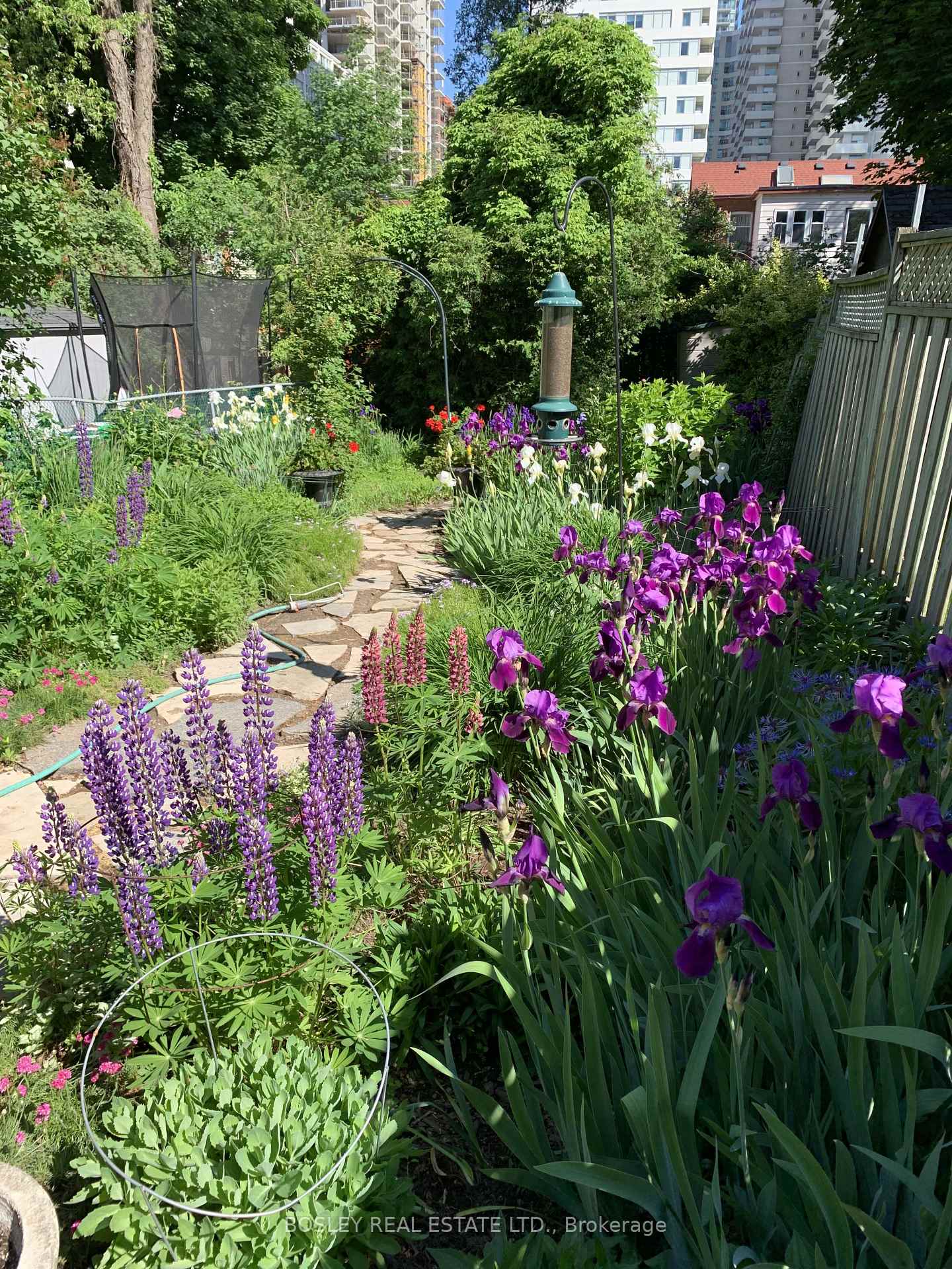 Property photo 46