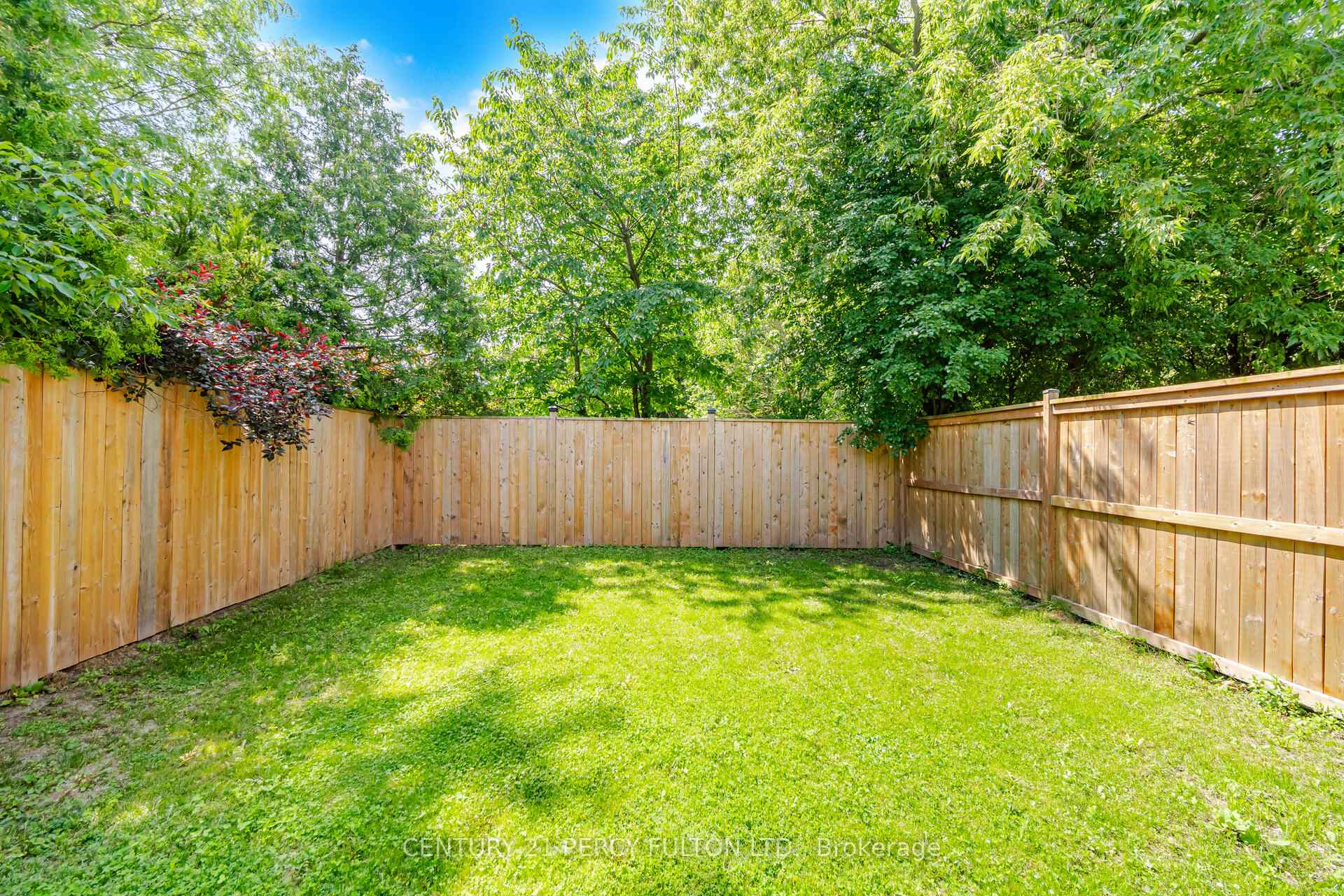 Property photo 44