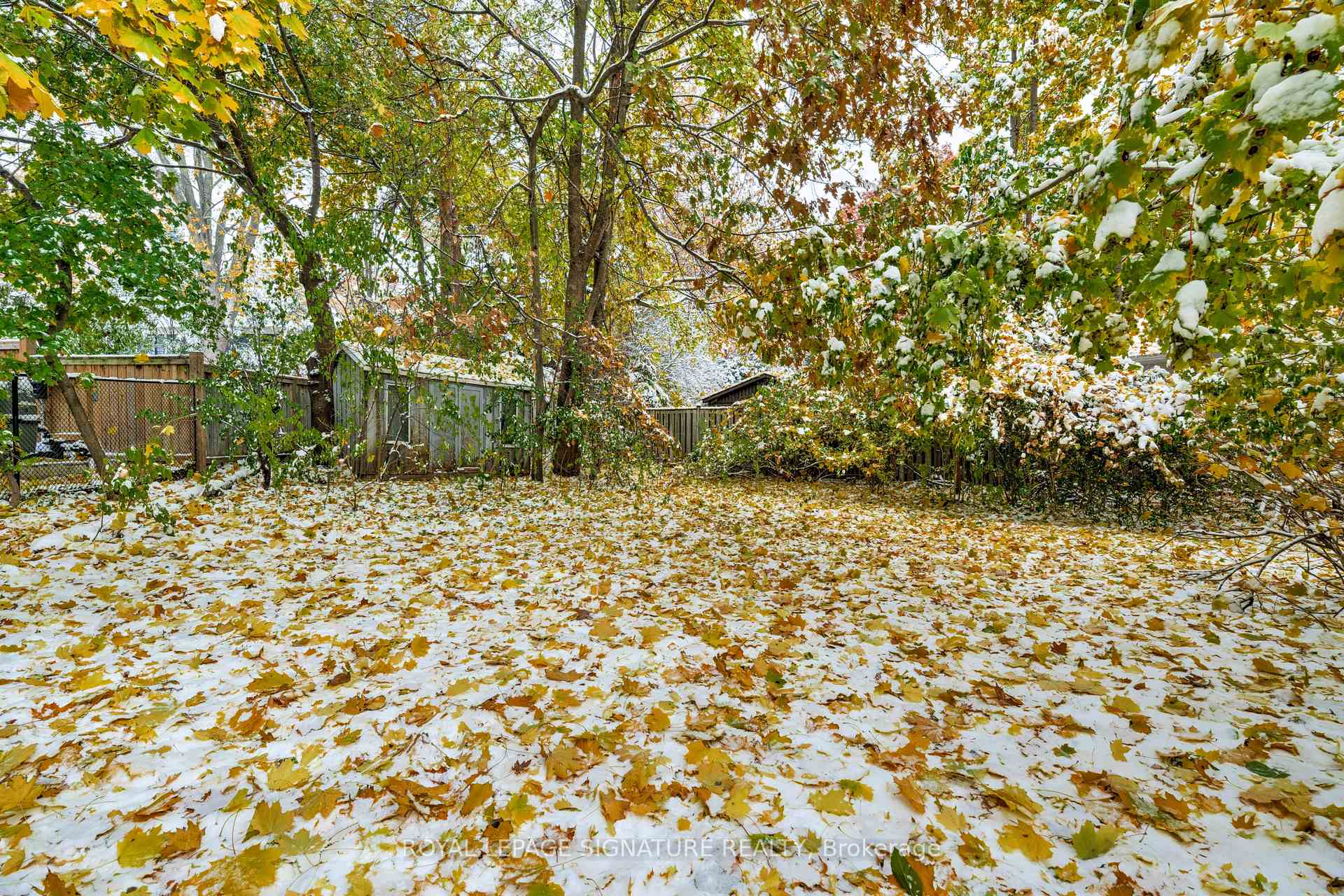 Property photo 39