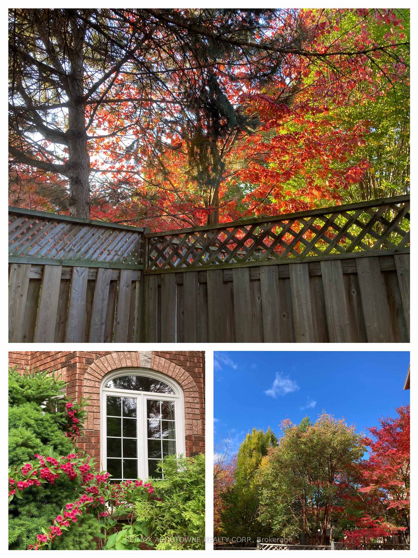Property photo 46