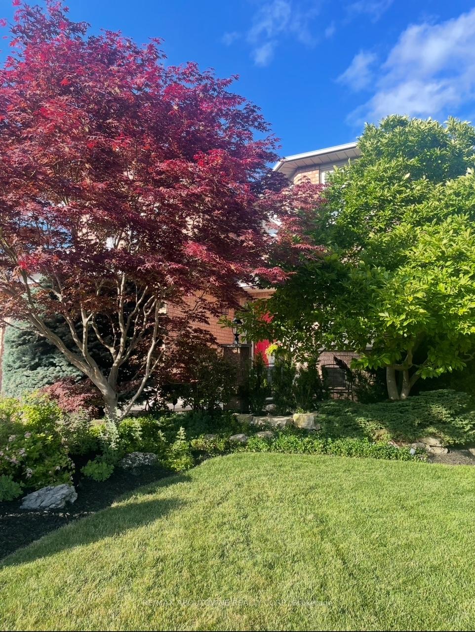 Property photo 43