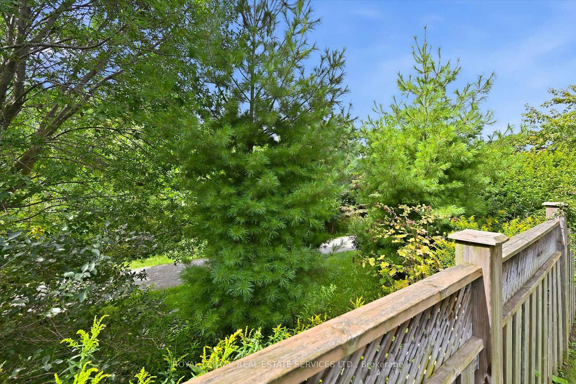 Property photo 43