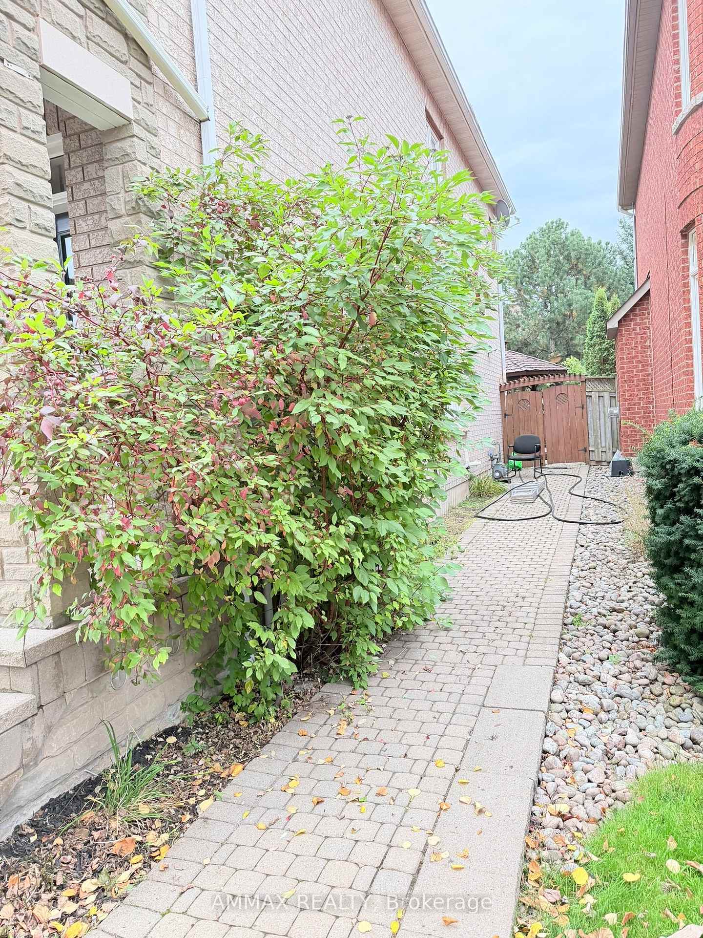 Property photo 25