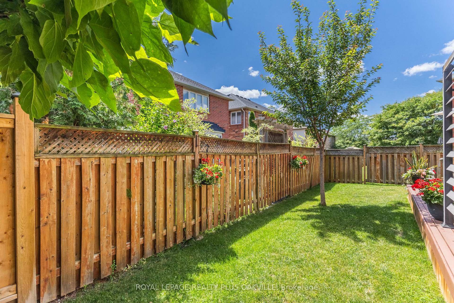 Property photo 49