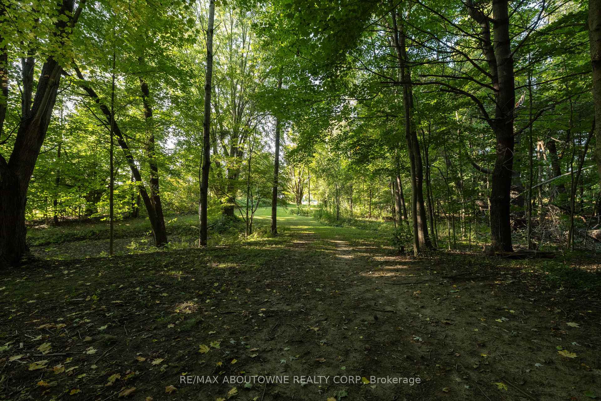 Property photo 44