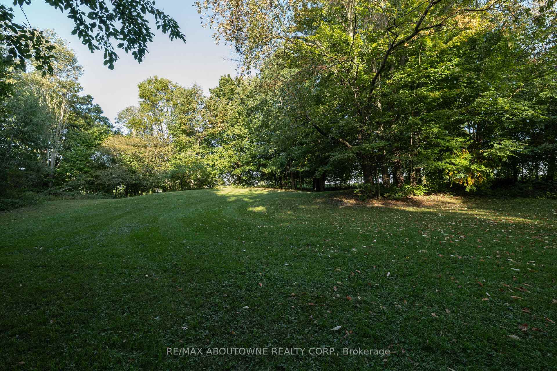 Property photo 46