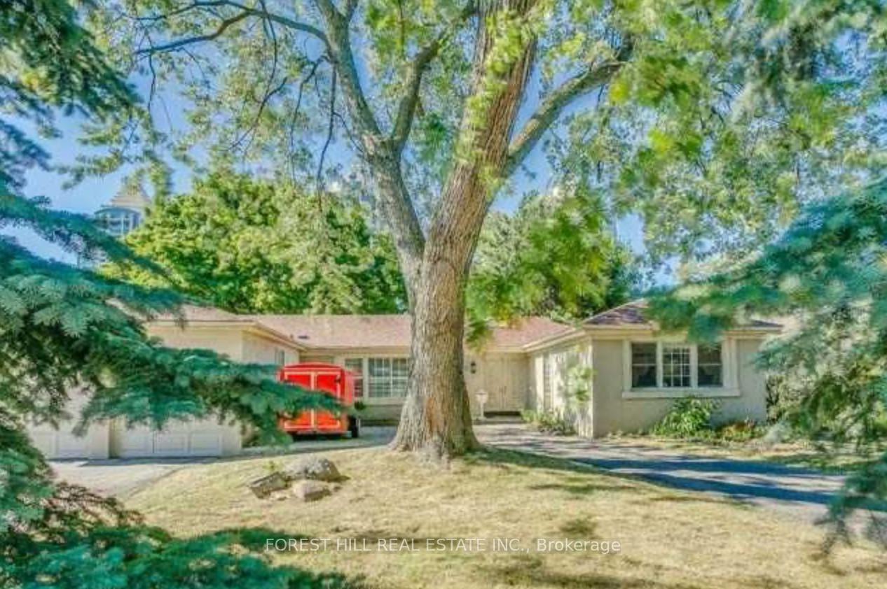 62 Northdale Road