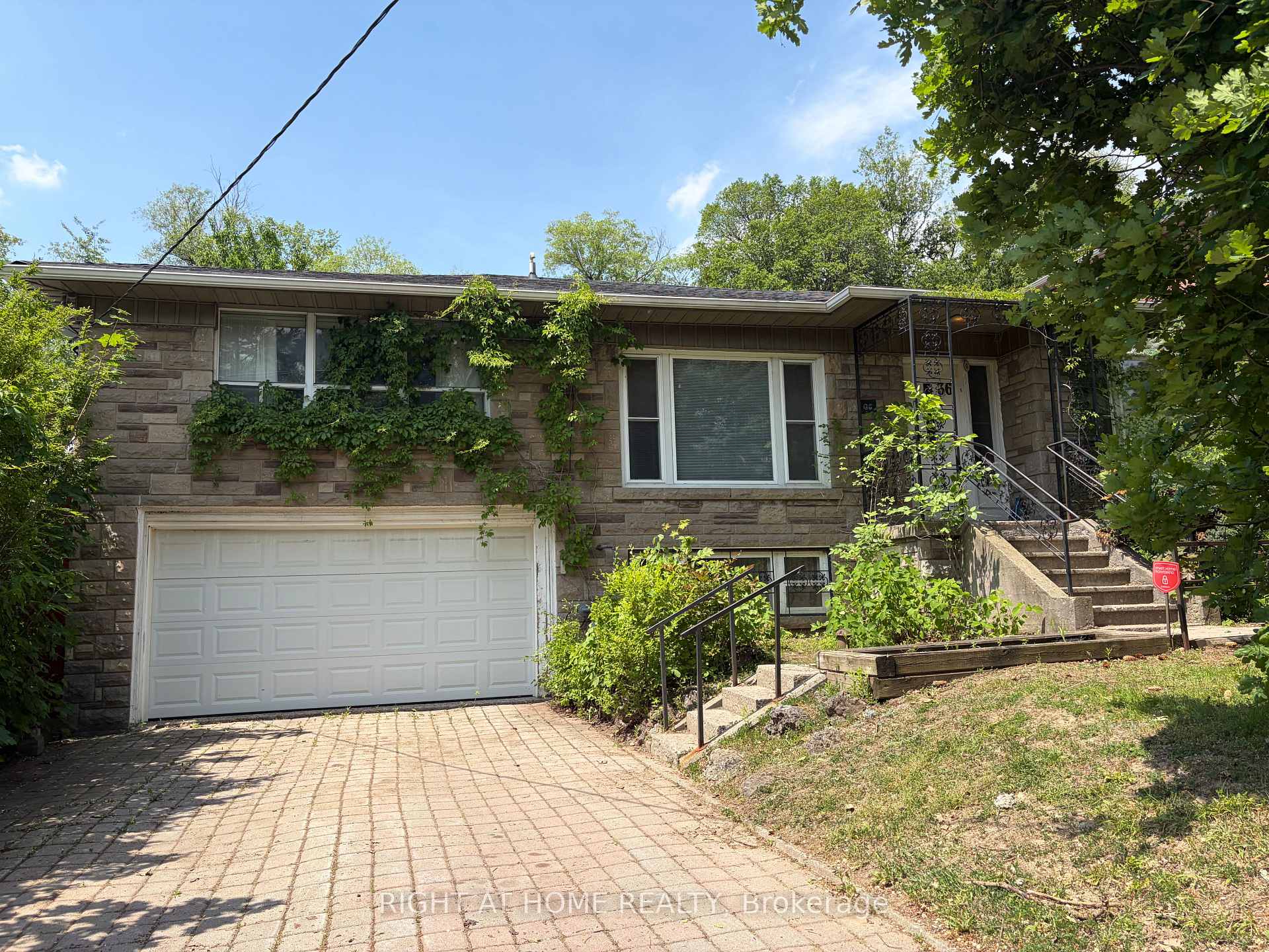 36 Forest Wood