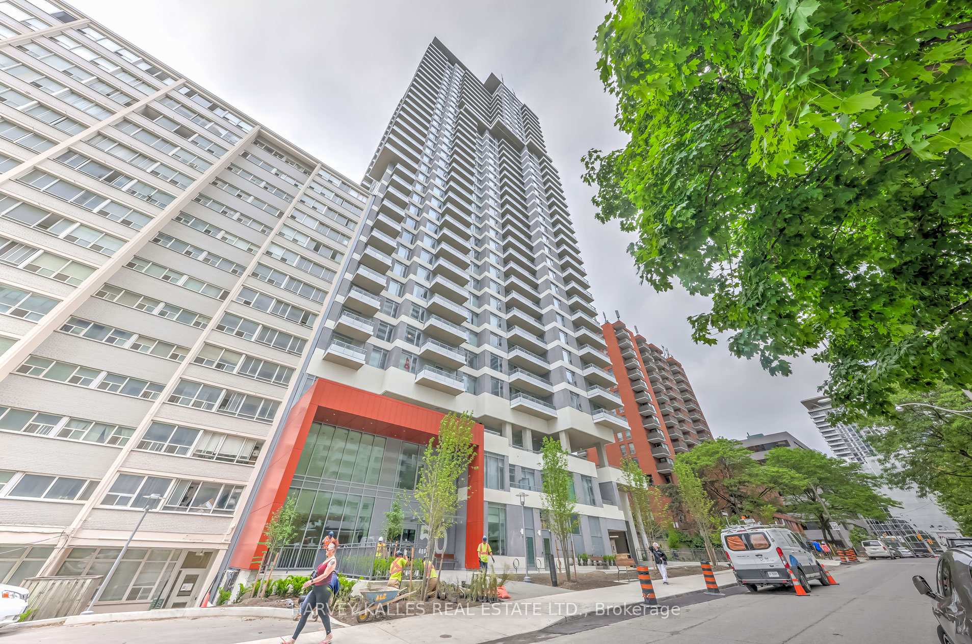 50 Dunfield Street