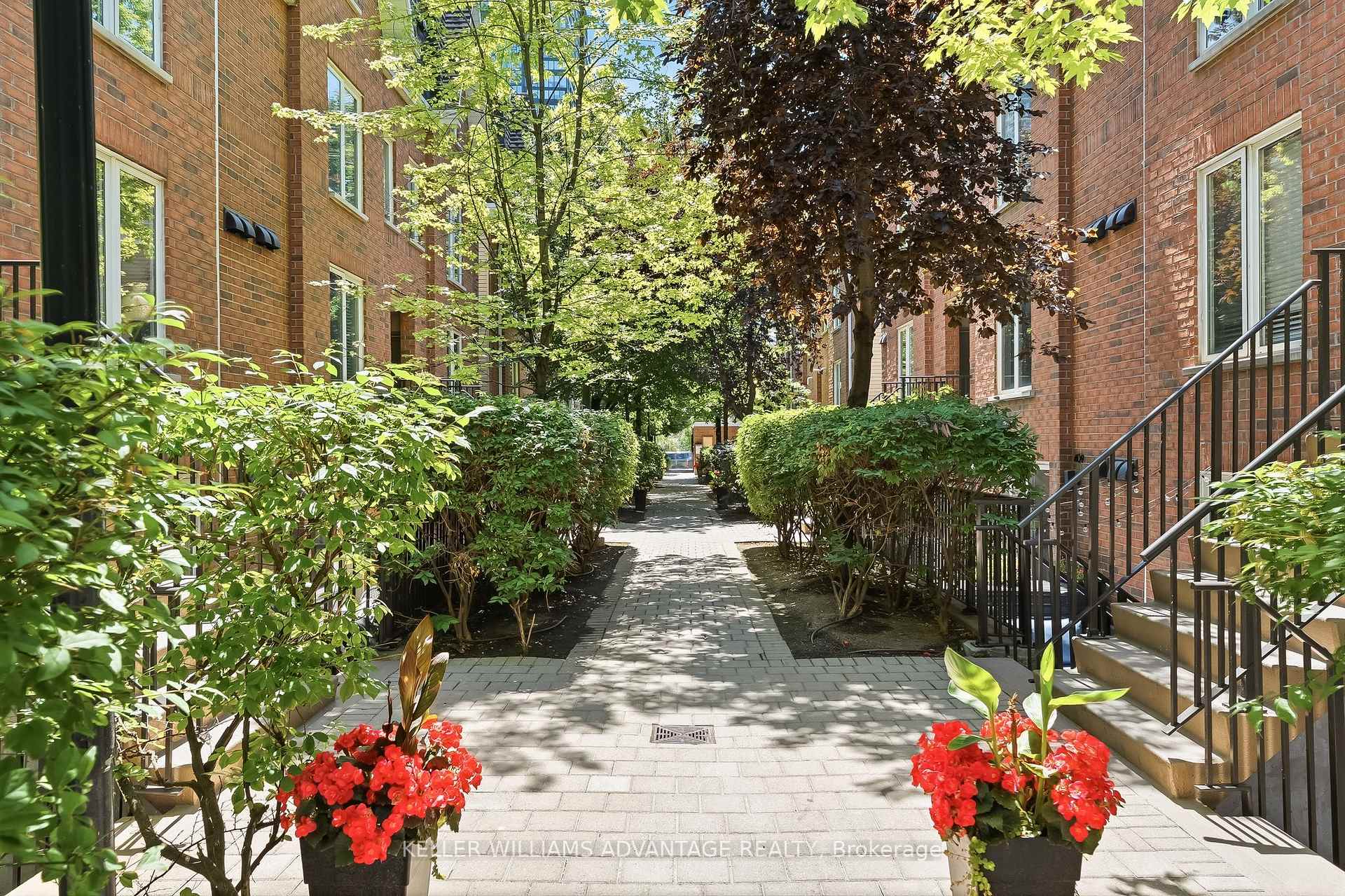 29 Canniff Street