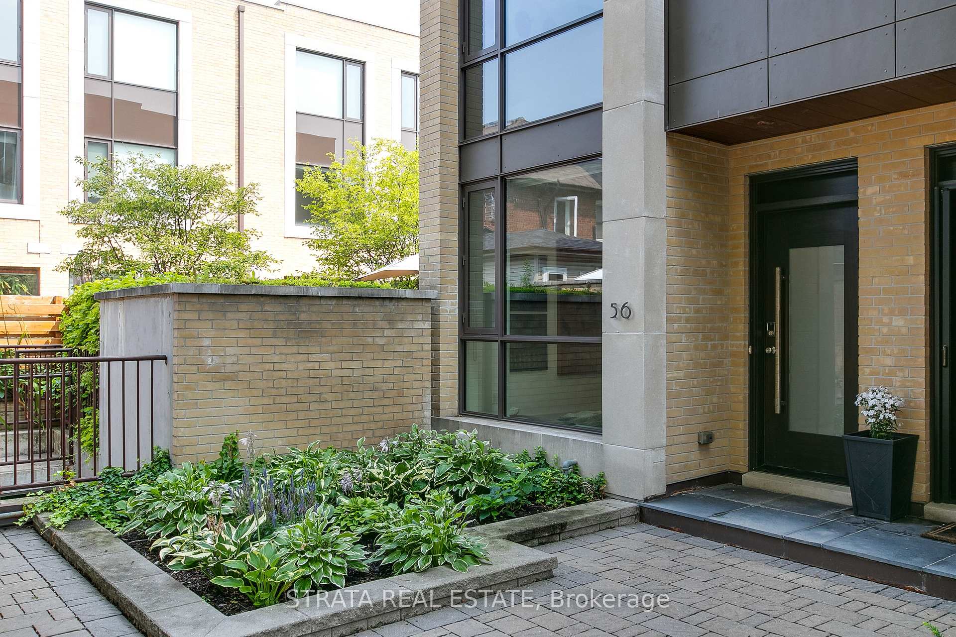 56 Havelock Street