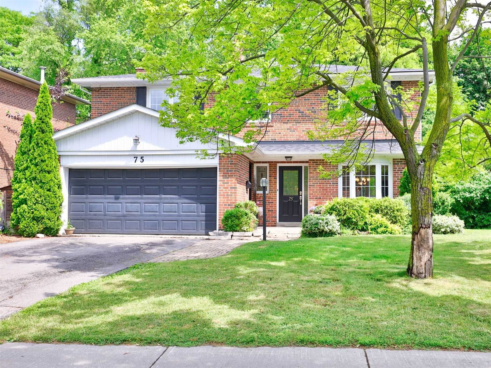 75 Montressor Dr