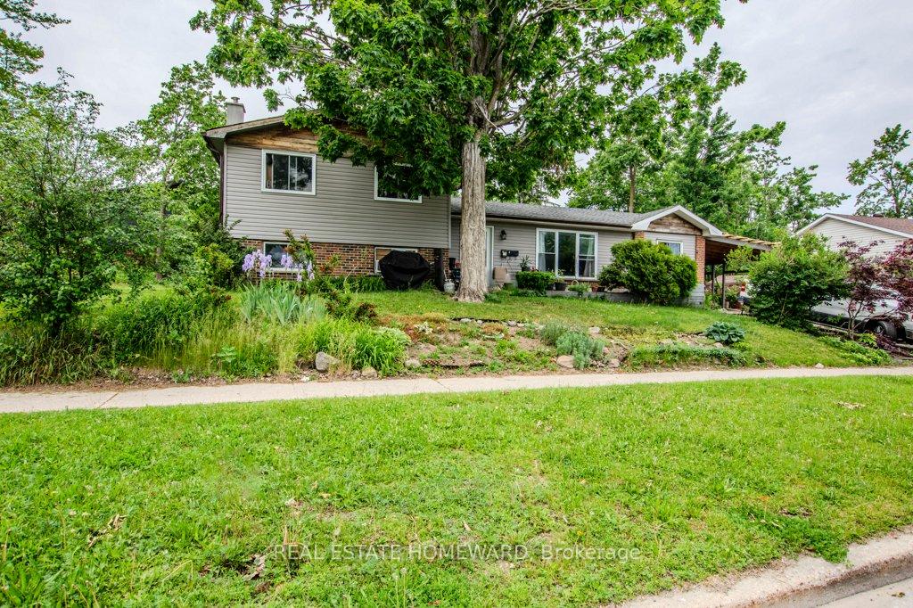54 SPRINGDALE Drive