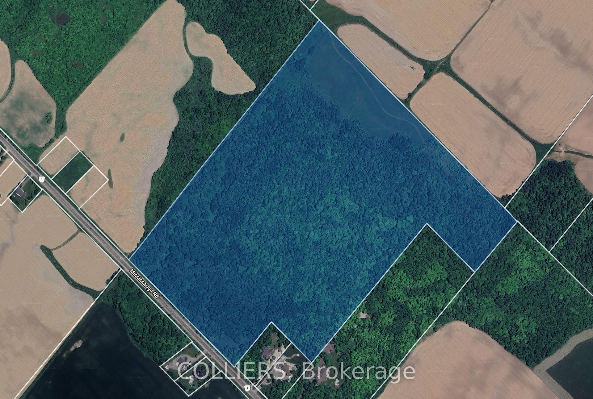 0 Mississauga Road