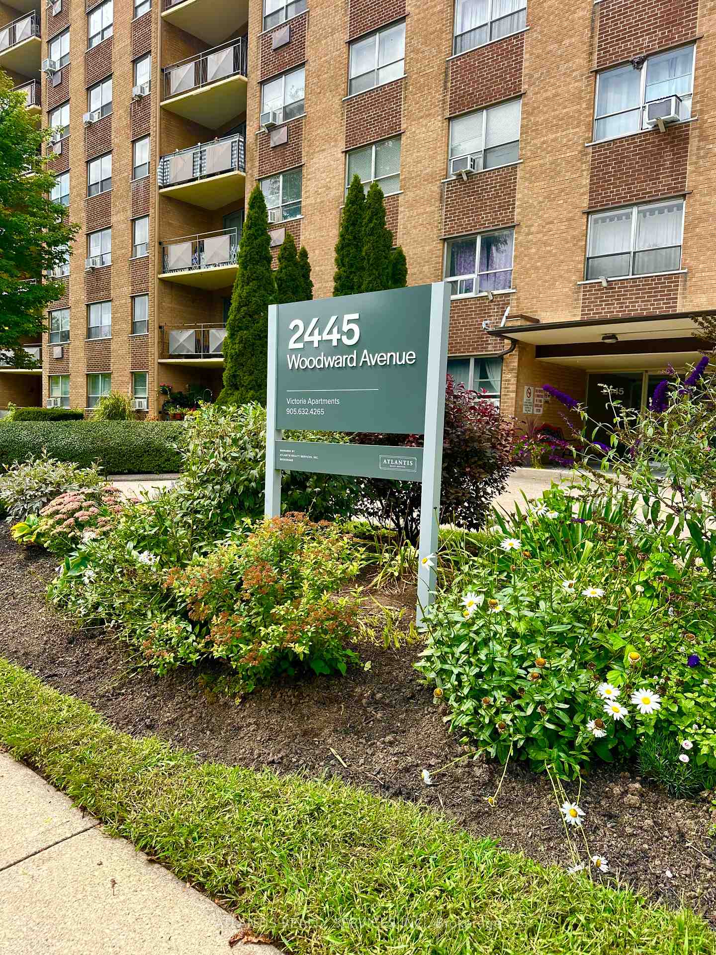 2445 Woodward Avenue