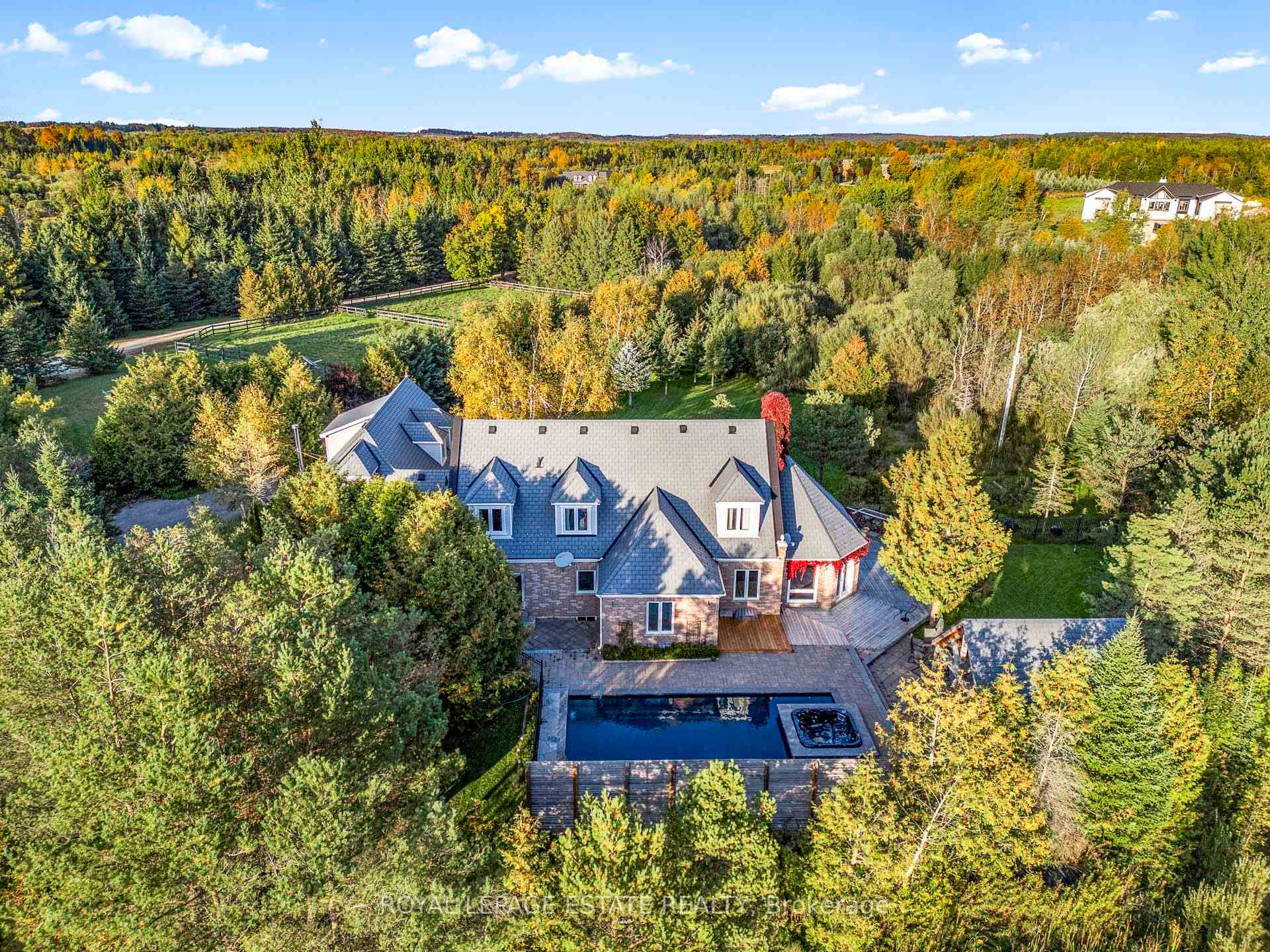 555086 Mono Amaranth Townline
